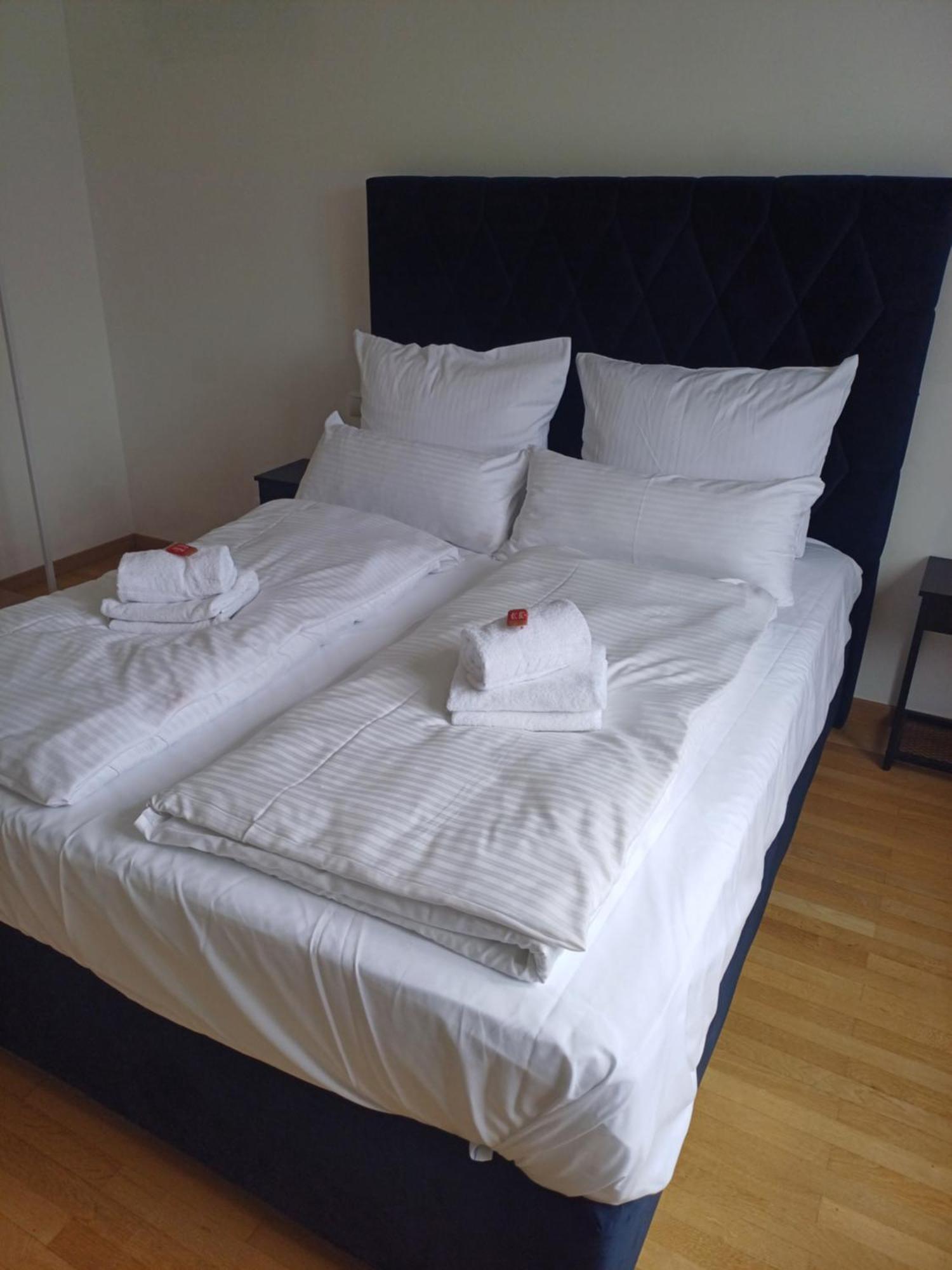 Crown Living Design Apartment - 2 Schlafzimmer - Kueche - Gratis Parkplatz - Abstellraum Fuer Fahrraeder/Ski Mader Екстер'єр фото